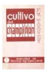 Papel CULTIVO DEL CHAMPIÑON (MANUALES DE TECNICA AGROPECUARIA)