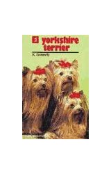 Papel YORKSHIRE TERRIER (ANIMALES DOMESTICOS)