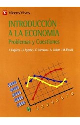 Papel INTRODUCCION A LA ECONOMIA PROBLEMAS Y CUESTIONES (RUSTICO)
