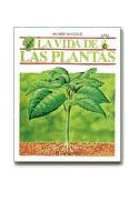 Papel VIDA DE LAS PLANTAS LA (MUNDO INVISIBLE) (CARTONE)