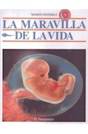 Papel MARAVILLA DE LA VIDA (MUNDO INVISIBLE) (CARTONE)