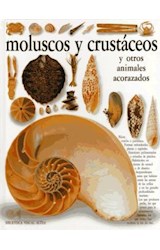 Papel MOLUSCOS Y CRUSTACEOS (VISUAL ALTEA) (CARTONE)
