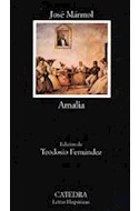 Papel AMALIA (LETRAS HISPANICAS 460)