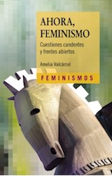 Papel AHORA FEMINISMO CUESTIONES CANDENTES Y FRENTES ABIERTOS (COLECCION FEMINISMOS)