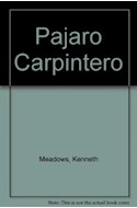 Papel PAJARO CARPINTERO 22 DE JUNIO - 22 DE JULIO (SABIDURIA ANCESTRAL DE LOS NATIVOS NORTEAMERICANOS)