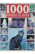 Papel 1000 IMAGENES DE GATOS (CARTONE)