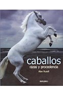 Papel CABALLOS RAZAS Y PROCEDENCIA (ILUSTRADO) (CARTONE)