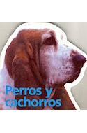 Papel PERROS Y CACHORROS (CARTONE)