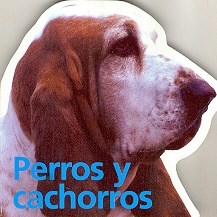 Papel PERROS Y CACHORROS (CARTONE)