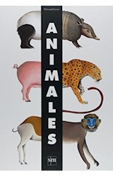 Papel ANIMALES (CARTONE)