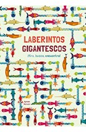 Papel LABERINTOS GIGANTESCOS (COLECCION MIRA BUSCA ENCUENTRA) (ILUSTRADO) (CARTONE)