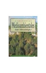 Papel AUDITORIAS MEDIOAMBIENTALES GUIA METODOLOGICA (2 EDICION)