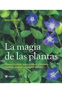 Papel MAGIA DE LAS PLANTAS PLANTAS Y ARBOLES PARA RECOBRAR EL  PARAISO... (CARTONE)