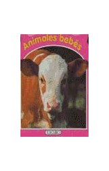 Papel ANIMALES BEBES