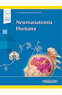 Papel NEUROANATOMIA HUMANA (INCLUYE VERSION DIGITAL)