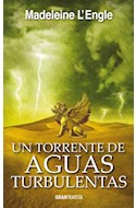 Papel UN TORRENTE DE AGUAS TURBULENTAS (SERIE EL QUINTETO DEL TIEMPO 4) (CARTONE)