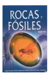 Papel ROCAS Y FOSILES (INCLUYE DIRECCIONES DE INTERNET LUGARES PARA VISITAR Y CARRERAS UNIVERSITARIAS