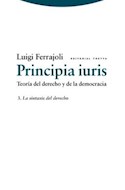 Papel PRINCIPIA IURIS 3 (LA SINTAXIS DEL DERECHO) (COLECCION ESTRUCTURAS Y PROCESOS) (RUSTICA)