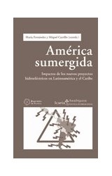 Papel AMERICA SUMERGIDA IMPACTOS DE LOS NUEVOS PROYECTOS HIDROELECTRICOS (POLITICA INTERNACIONAL) (RUSTICA
