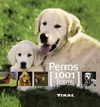 Papel PERROS (COLECCION 1001 FOTOS) (CARTONE)