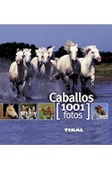 Papel CABALLOS (COLECCION 1001 FOTOS) (CARTONE)