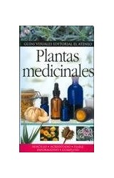 Papel PLANTAS MEDICINALES (GUIAS VISUALES)