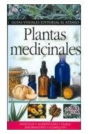 Papel PLANTAS MEDICINALES (GUIAS VISUALES)