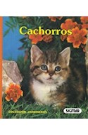 Papel ANIMALES FAVORITOS (COLECCION JARDINEROS) (CARTONE)