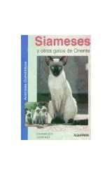 Papel SIAMESES Y OTROS GATOS DE ORIENTE (ANIMALES DOMESTICOS)