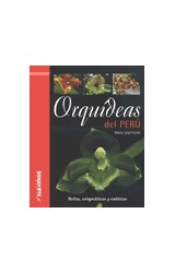 Papel ORQUIDEAS DEL PERU BELLAS ENIGMATICAS Y EXOTICAS