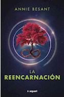 Papel REENCARNACION (COLECCION MENTE Y SABIDURIA)