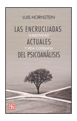 Papel ENCRUCIJADAS ACTUALES DEL PSICOANALISIS SUBJETIVIDAD Y VIDA COTIDIANA (SERIE TEZONTLE)