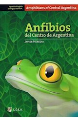Papel ANFIBIOS DEL CENTRO DE ARGENTINA (EDICION BILINGUE)