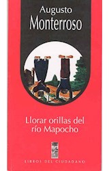Papel LLORAR A ORILLAS DEL RIO MAPOCHO