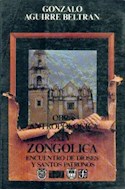 Papel OBRA ANTROPOLOGICA XIV ZONGOLICA ENCUENTRO DE DIOSES Y SANTOS PATRONOS (SERIE ANTROPOLOGIA)