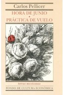 Papel HORA DE JUNIO / PRACTICA DE VUELO (LETRAS MEXICANAS)