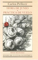 Papel HORA DE JUNIO / PRACTICA DE VUELO (LETRAS MEXICANAS)