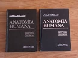 Papel ANATOMIA HUMANA (3 EDICION) (2 TOMOS) (CARTONE)
