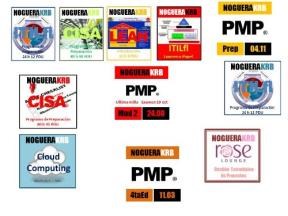 Papel ESENCIA DE LA ADMINISTRACION DE PEQUEÑAS EMPRESAS (INCLUYE CD)