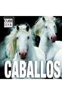 Papel CABALLOS (CARTONE) (CUBE BOOK)