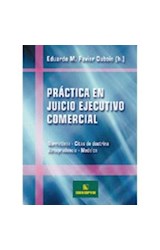 Papel PRACTICA EN JUICIO EJECUTIVO COMERCIAL NORMATIVAS CITAS  DE DOCTRINA JURISPRUDENCIA MODELOS