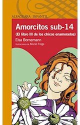 Papel AMORCITOS SUB 14 EL LIBRO III DE LOS CHICOS ENAMORADOS (SERIE NARANJA)