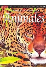 Papel MEJORES CUENTOS DE ANIMALES (GRANDES LIBROS ILUSTRADOS  4)