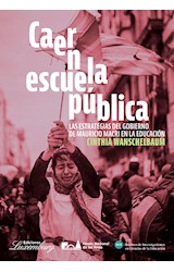 Papel CAER EN LA ESCUELA PUBLICA LAS ESTRATEGIAS DEL GOBIERNO DE MAURICIO MACRI EN LA EDUCACION