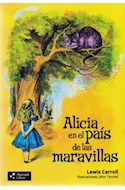 Papel ALICIA EN EL PAIS DE LAS MARAVILLAS (COLECCION LITERARIA) (ILUSTRACIONES DE JOHN TENNIEL)