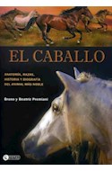 Papel CABALLO ANATOMIA RAZAS HISTORIA Y BIOGRAFIA DEL ANIMAL