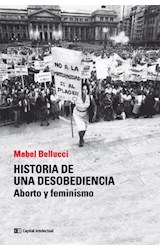 Papel HISTORIA DE UNA DESOBEDIENCIA ABORTO Y FEMINISMO [NUEVA EDICION AMPLIADA Y ACTUALIZADA]