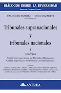 Papel TRIBUNALES SUPRANACIONALES Y TRIBUNALES NACIONALES (2 TOMOS)