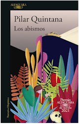 Papel ABISMOS (COLECCION NARRATIVA HISPANICA) [PREMIO ALFAGUARA DE NOVELA 2021]