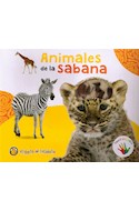 Papel ANIMALES DE LA SABANA (COLECCION TOCO Y DESCUBRO) (CARTONE)
